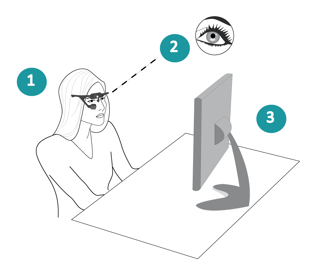 Schéma explicatif du protocole expérimental pour le projet Perception